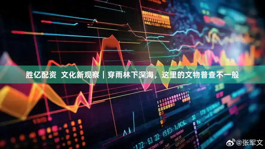 胜亿配资  文化新观察｜穿雨林下深海，这里的文物普查不一般
