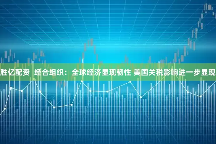 胜亿配资  经合组织：全球经济显现韧性 美国关税影响进一步显现